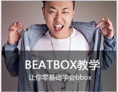 B-BOX教程零基础到精通全套视频教程 音乐教学