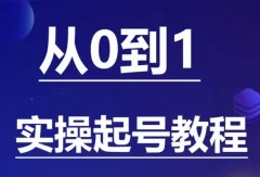 石野·小白起号实操教程,掌握各种起号的玩法技术,了解流量的核心