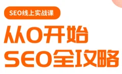 若凡老师·谷歌SEO实操课(更新)