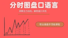一飞金融《分时图盘口语言绝密主力操盘课程》