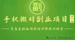 手机搬砖小副业项目训练营1.0一部手机轻松日入100+