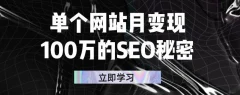 单个网站月变现100万的SEO秘密,百分百做出赚钱站点