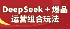 DeepSeek+爆品运营组合玩法,2025淘系精品课