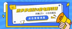 拼多多虚拟U盘电商红利项目:月赚2万+,新手小白也能玩