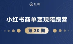 盗坤·抖音小红书视频号短视频带货与直播变现(11-21期)
