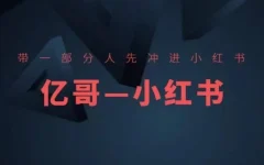 带一部分人先冲进小红书,小红书开店、选品、爆款裂变