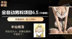 男粉项目6.5升级版,全自动男粉项目,日收入1K+