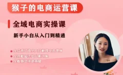 猴子电商小红书电商运营课,从入门到精通,全域电商实操课