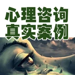 《心理咨询个案全程集》 音频课