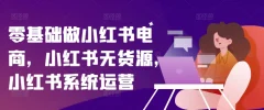 零基础做小红书电商,小红书无货源,小红书系统运营