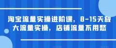 淘宝流量实操进阶课,8-15天放大流量实操,店铺流量不用愁