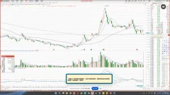 大师兄·鹿鼎山系列内部课程(更新7月)