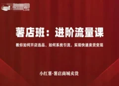 小红薯薯店商城卖货,进阶流量课,教你如何开店选品、如何系统引流,实现快速卖货变现