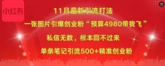 小红书11月最新图片打粉,一张图片引爆创业粉,单条引流500+精准创业粉