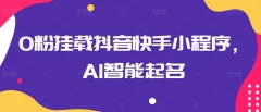 0粉挂载抖音快手小程序,AI智能起名