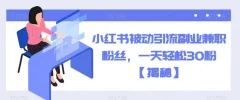 小红书被动引流副业兼职粉丝,一天轻松30粉【揭秘】