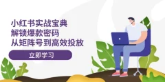 小红书打爆款实战课,解锁爆款密码,从矩阵号到高效投放
