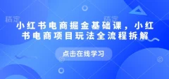 小红书电商掘金课,小红书电商项目玩法全流程拆解