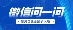 全网首发微信问一问新风口变现项目(价值1999元)