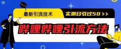 最新引流技术,哔哩哔哩引流方法,实测日引50人