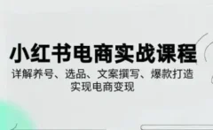 小红书从0-1实操课2025养号、选品、文案撰写、爆款打造实现电商变现