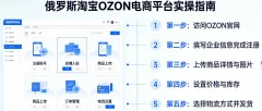 带你实操俄罗斯淘宝OZON电商平台