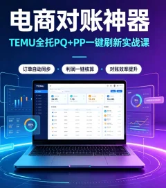 电商对账神器:TEMU 全托PQ+PP 一键刷新实战课