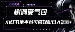 小红书等全平台树洞受气包项目,轻松日入一两张【揭秘】