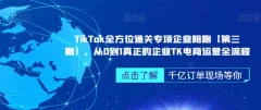 TikTok全方位通关专项企业陪跑【第三期】,从0到1真正的企业TK电商运营全流程