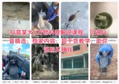 抖音某大V万物科普解说课程:实战涨粉变现攻略,独家干货教学指南