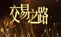陈凯诸葛就是不亮 交易之路初中高级视频往期