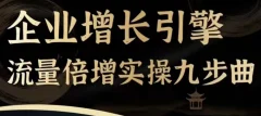 企业增长引擎流量倍增实操九步曲,一套课程帮你找到快速、简单、有效、可复制的获客+变现方式