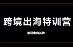 推易电商·TikToK跨境电商实战营
