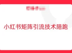 小红书矩阵引流技术,教大家玩转小红书流量