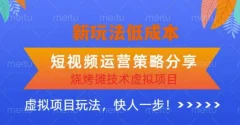 低成本烧烤摊技术虚拟项目新玩法,短视频运营策略分享,快人一步【揭秘】
