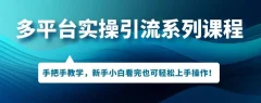多平台引流实操系列课程,新手小白看完也可轻松上手进行引流操作