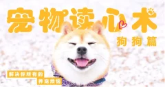 宠物读心术:解决你的养猫烦恼、解决你的养狗烦恼