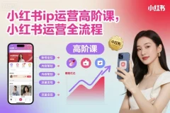小红书IP运营高阶课,小红书运营全流程