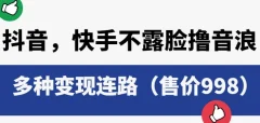 抖音快手不露脸撸音浪项目,多种变现连路(售价998)