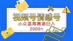 视频号情感号小众蓝海赛道,每天一小时,日入3000+