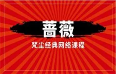 梵尘经典网络课程《蔷薇》街搭互动