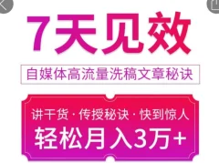 7天见效自媒体高流量洗稿文章秘诀,轻松月入3万+快到惊人干货秘诀