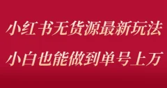 小红书无货源最新螺旋起号玩法,电商小白也能做到单号上万(价值3980元)