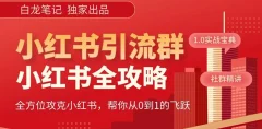 【白龙笔记】价值980元的《小红书运营和引流课》,日引100高质量粉