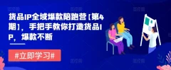 货品IP全域爆款陪跑营【第4期】,手把手教你打造货品IP,爆款不断