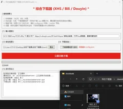 综合下载器一键无水印下载B站/抖音/小红书-全网短视频