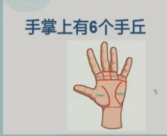 九龙道长辅导老师-静心老师-手相课程