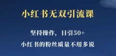小红书无双课一天引50+女粉,不用做视频发视频,小白也很容易上手拿到结果【仅揭秘】