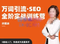 许茹冰·万词引流-SEO全阶实战训练营,0基础入门,快速成为流量高手