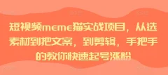 短视频meme猫实战项目,从选素材到把文案,到剪辑,手把手的教你快速起号涨粉